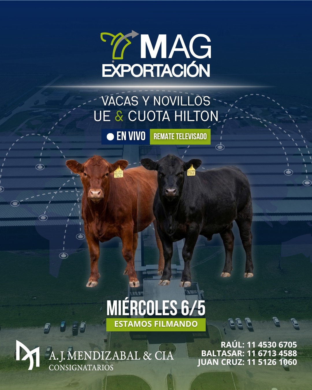MAG exportación 