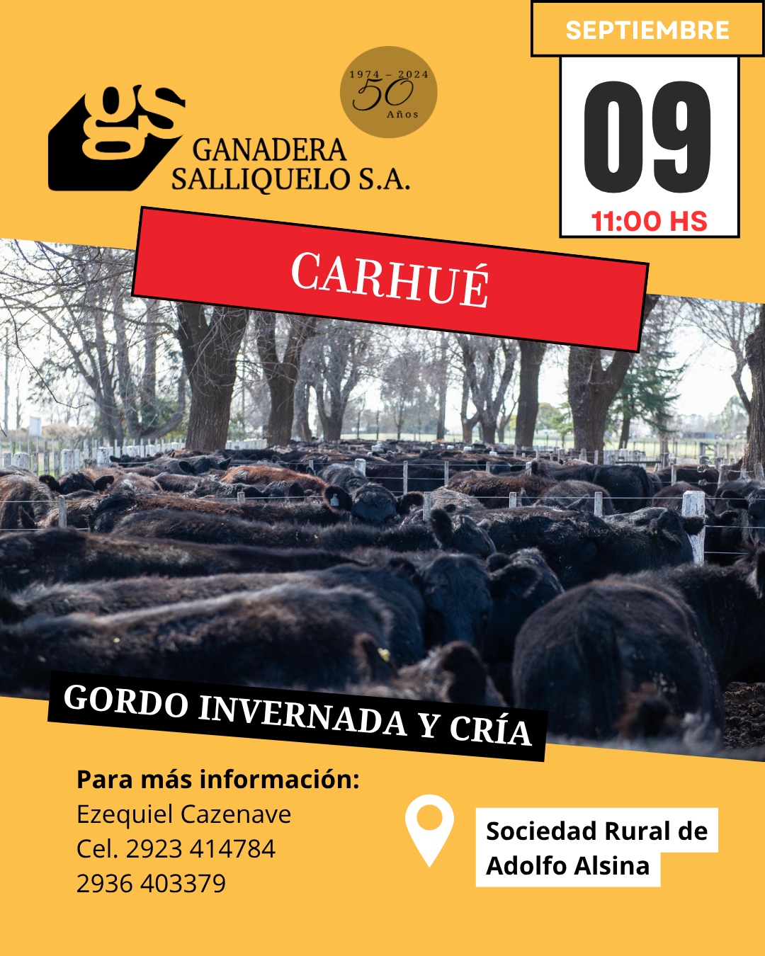 Afiche REMATE EN CARHUÉ