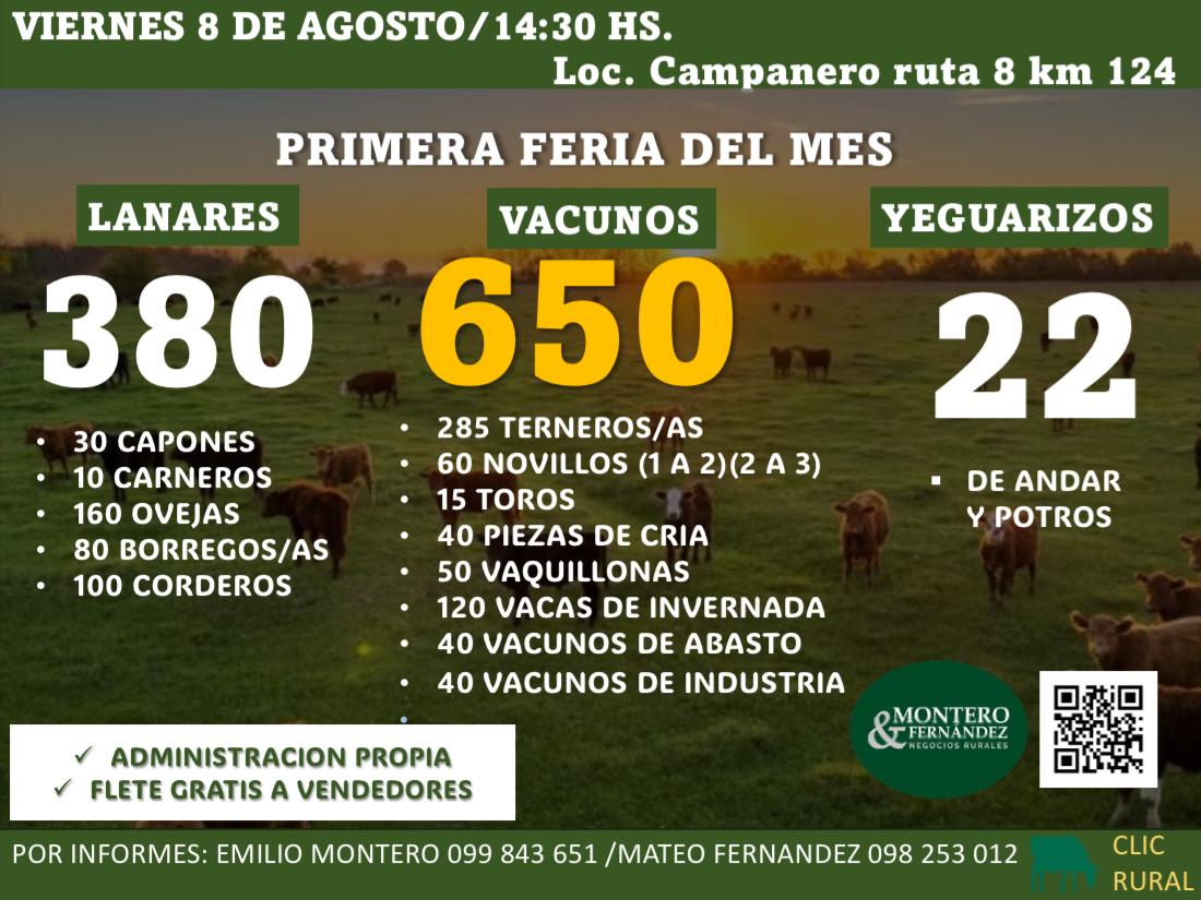 Afiche Feria Mensual - Montero Fernandez