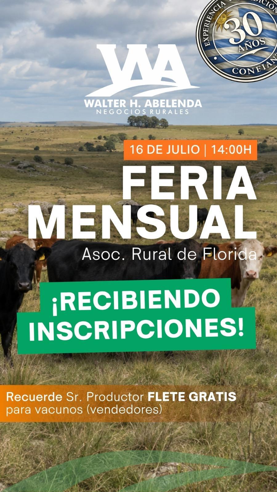 Feria mensual - Walter H Abelenda