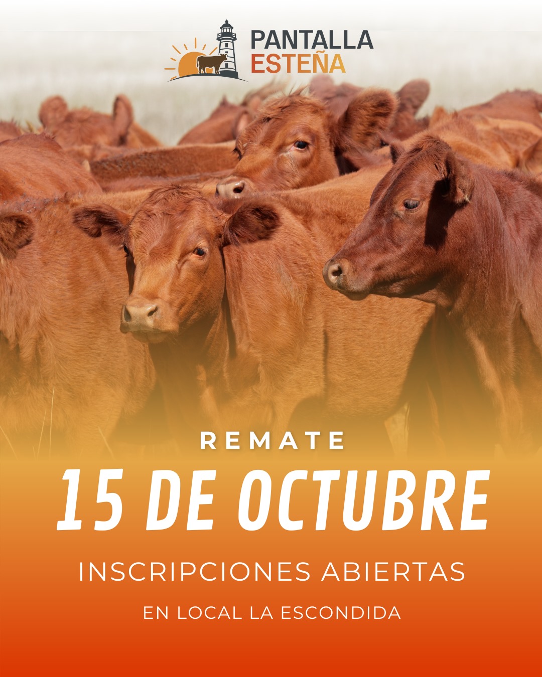 Remate Pantalla Esteña