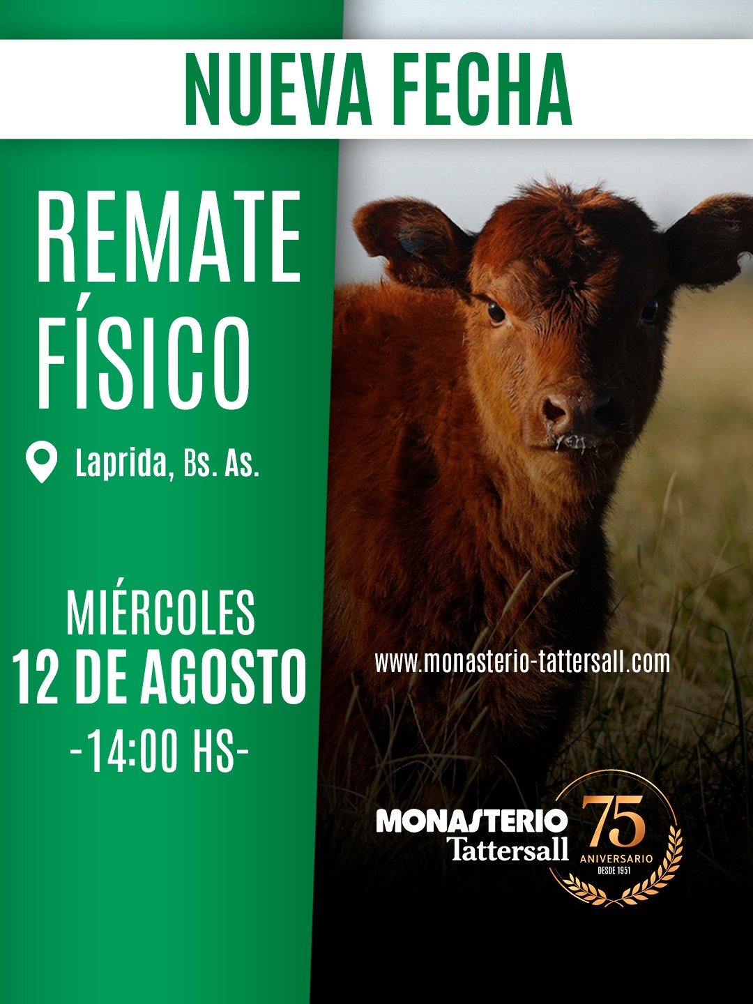 Remate Fisico Laprida