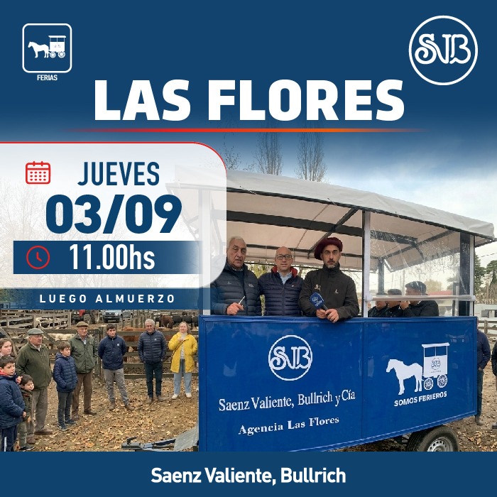 Afiche Feria en Las Flores
