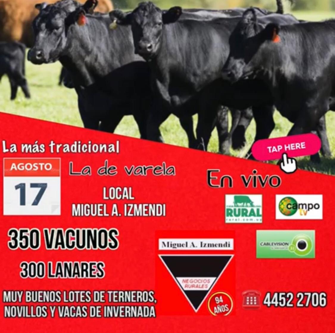 Afiche 