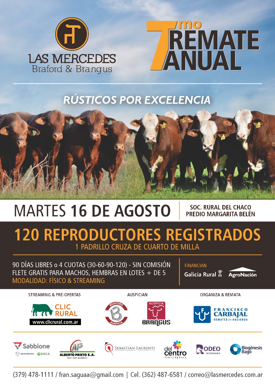 Afiche 7mo Remate Anual de Las Mercedes