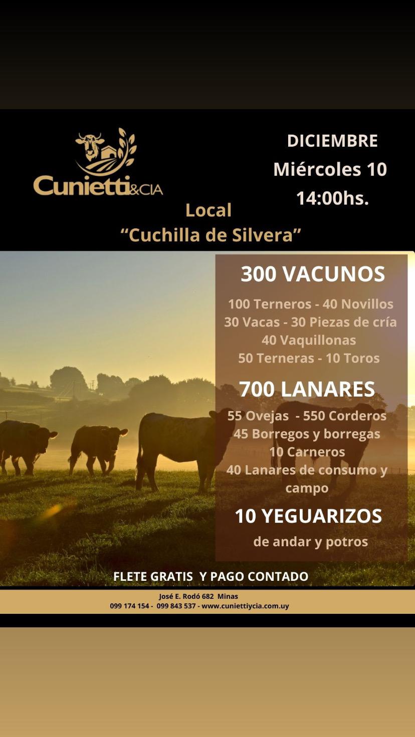 Feria - Cunietti y Cia