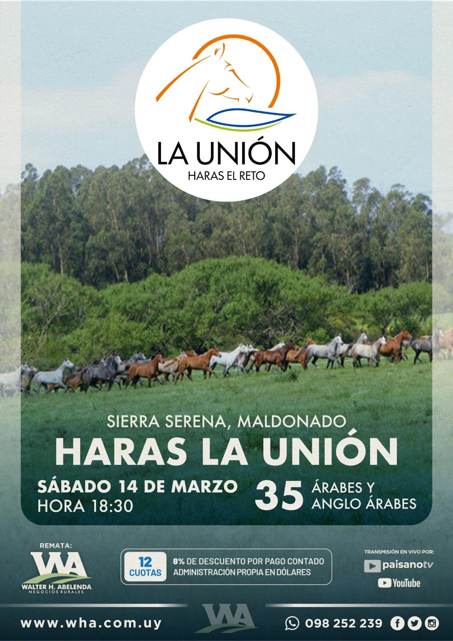 Haras La Union