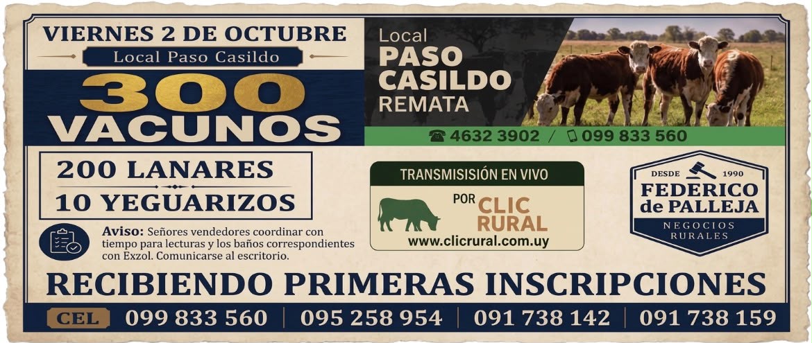 Afiche Feria mensual - Federico de Palleja