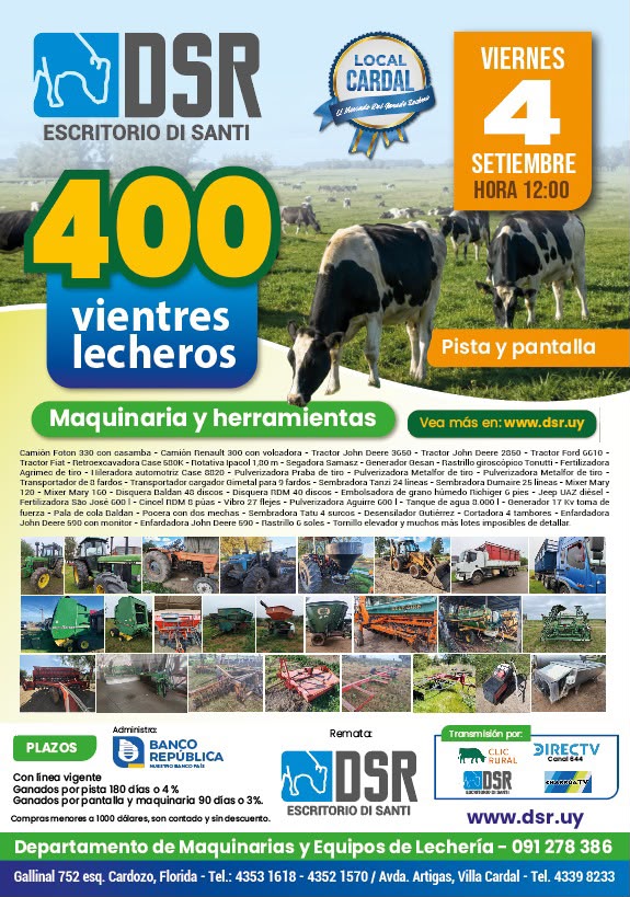 Remate Pista y Pantalla - Escritorio Di Santi