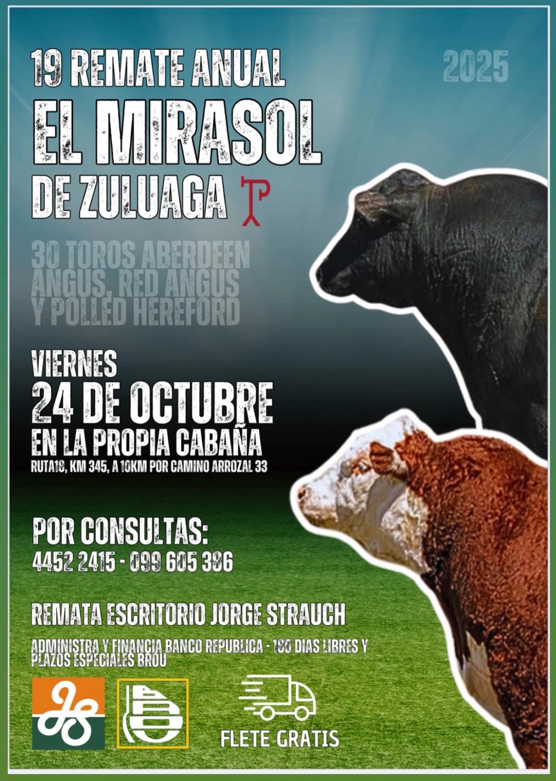 Remate 19º El Mirasol