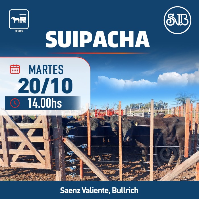 Feria en Suipacha