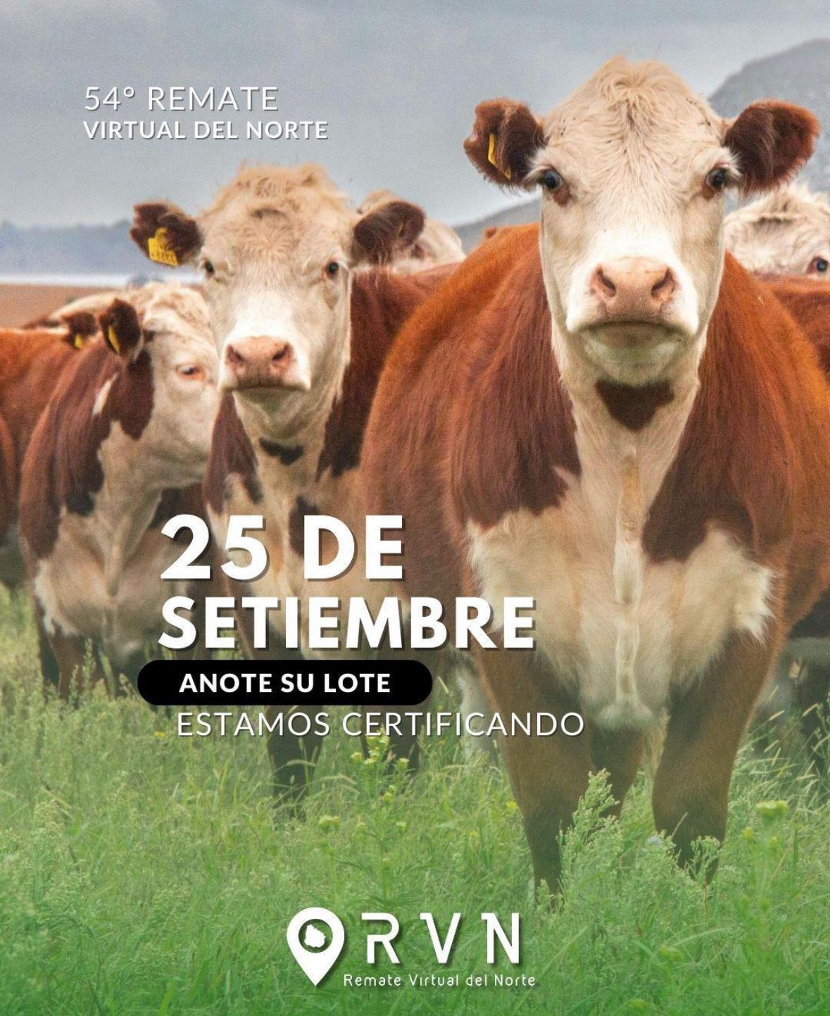 54º Remate Virtual del Norte