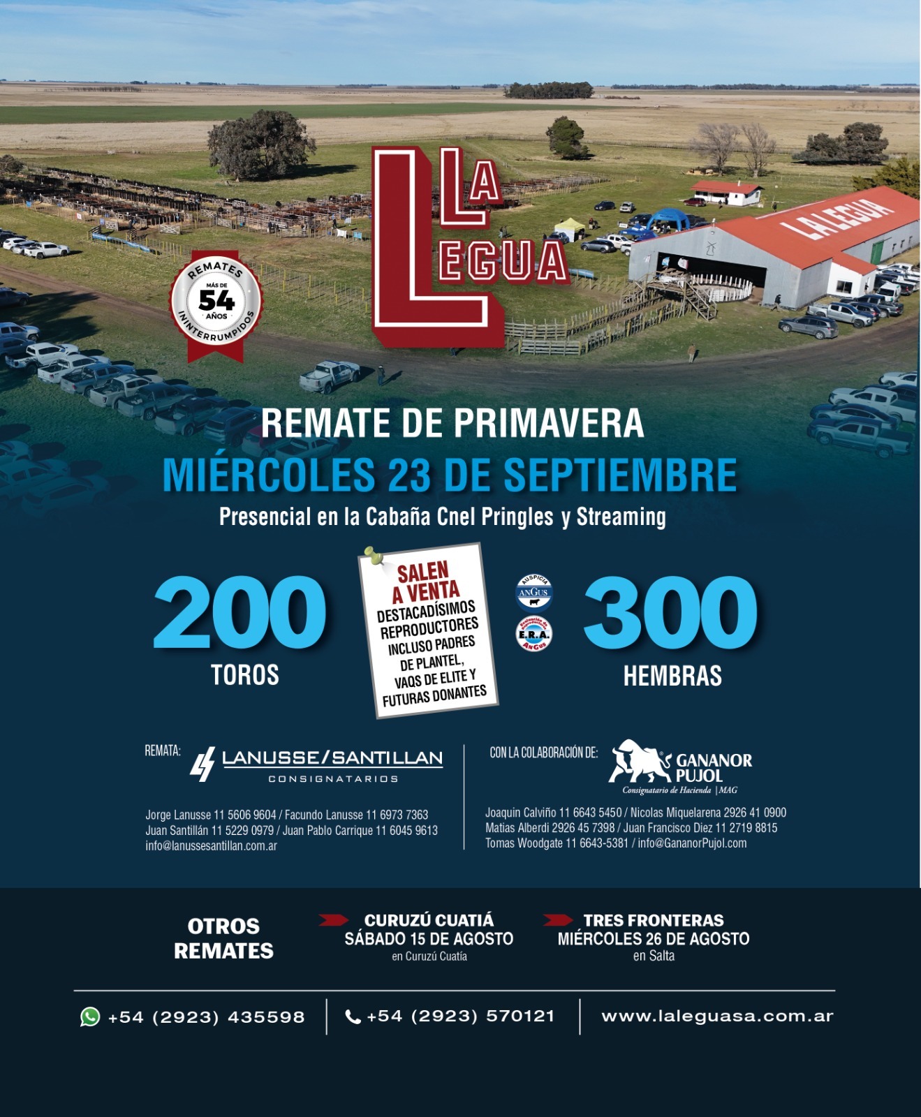 Afiche Remate de Primavera