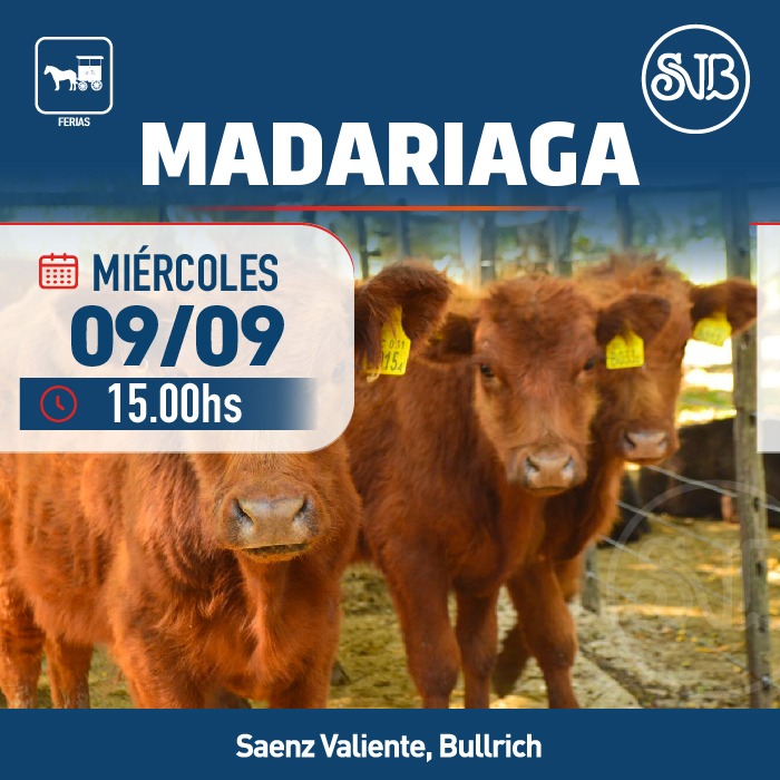 Feria en Gral. Madariaga