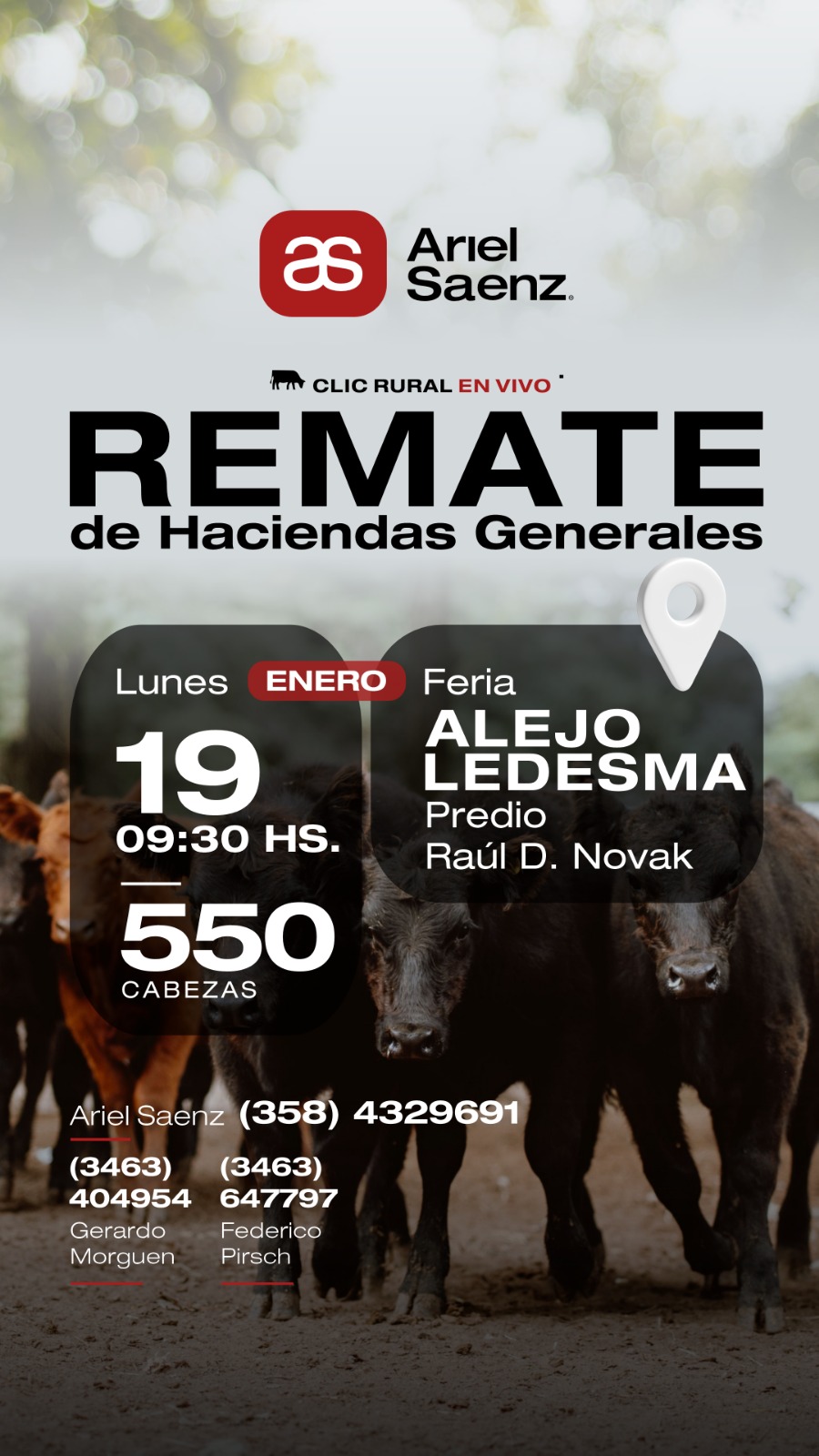 Remate 19 de Enero - Alejo Ledesma