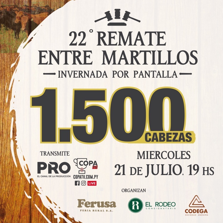 Afiche 22° Remate Entre Martillos