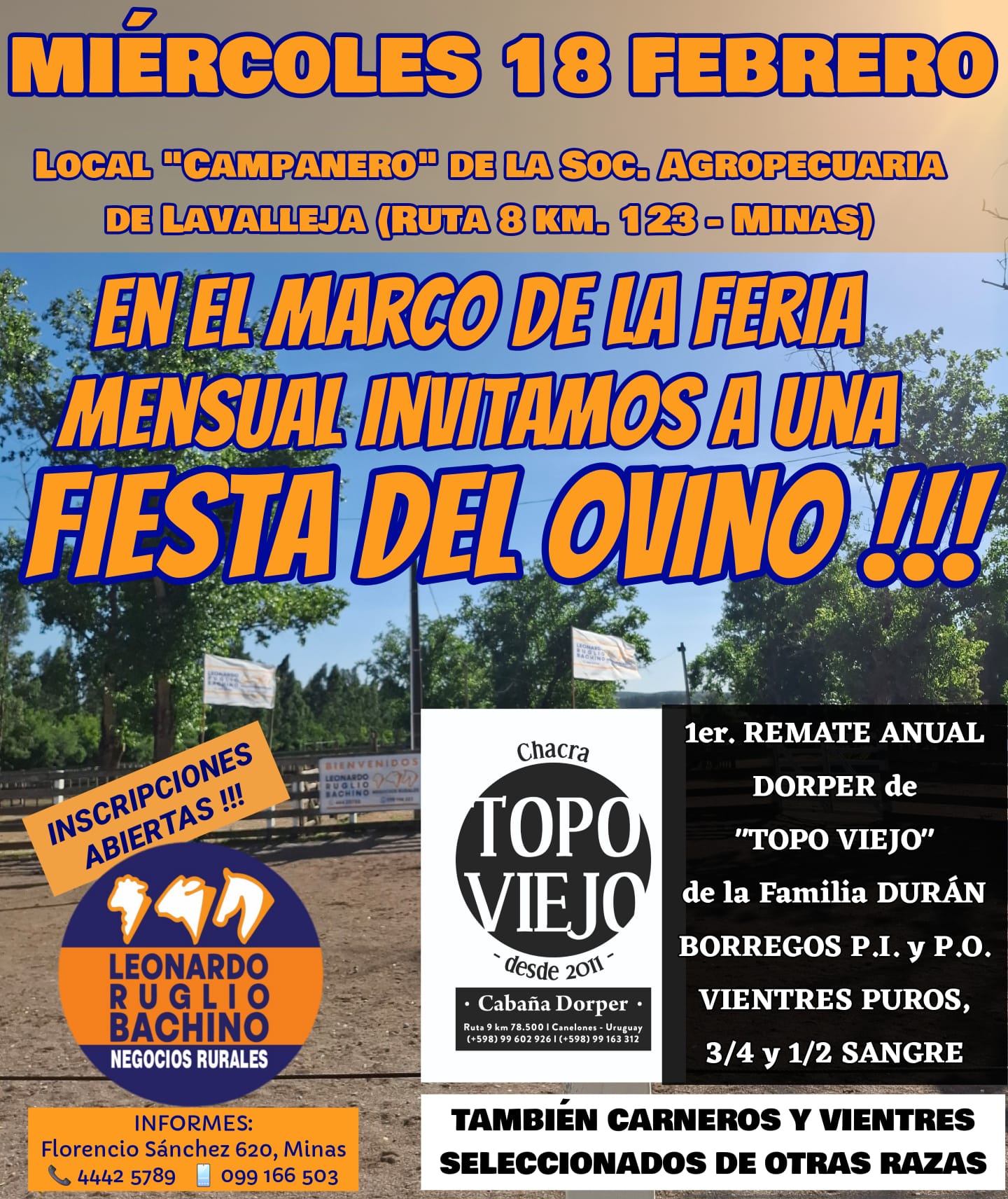 Remate Feria Mensual - Leonardo Ruglio Bachino