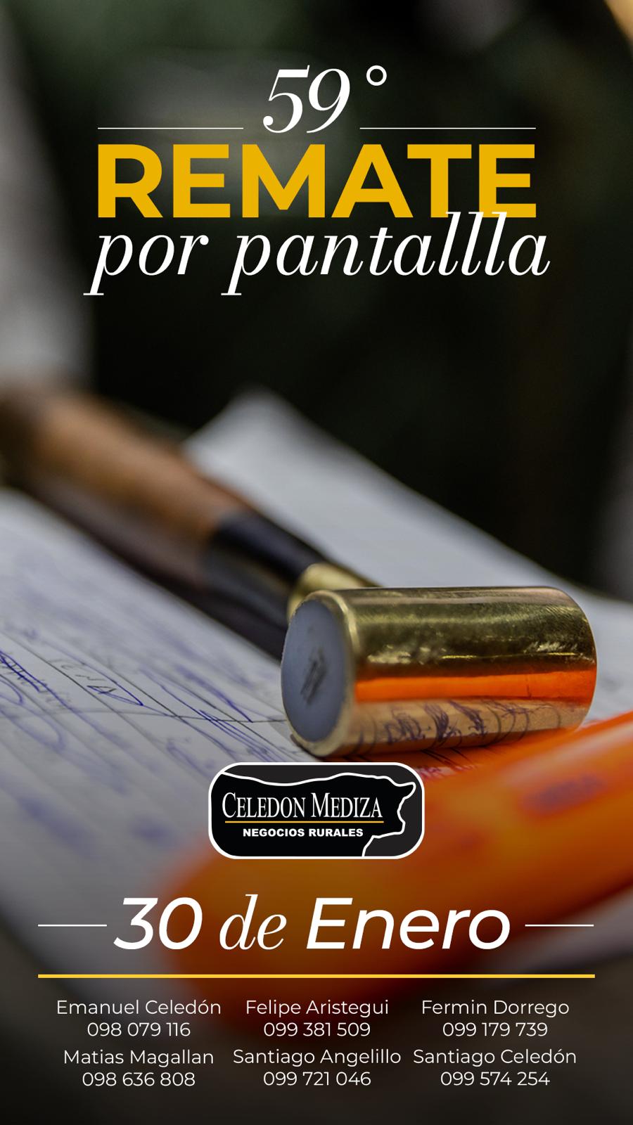 Remate 59º Remate por Pantalla