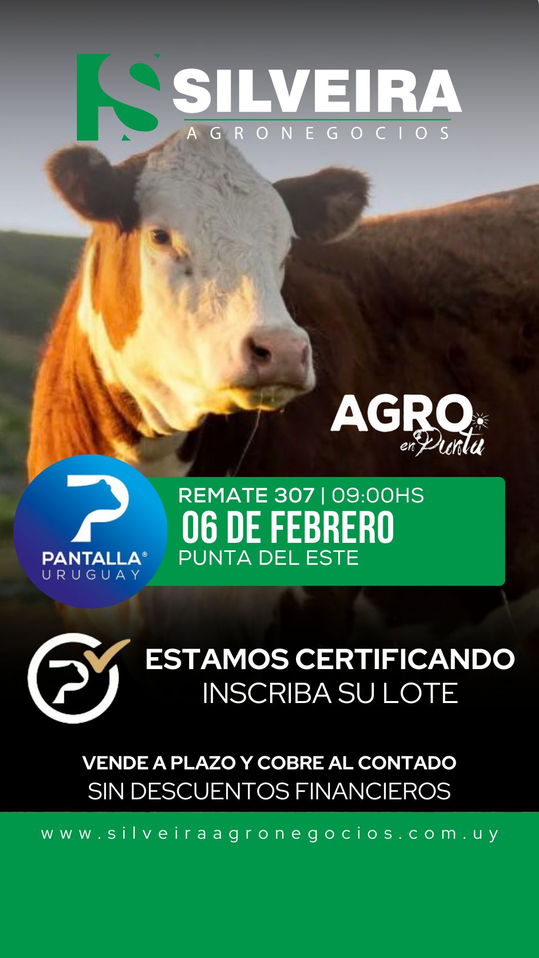 307º remate Pantalla Uruguay / Agro En Punta