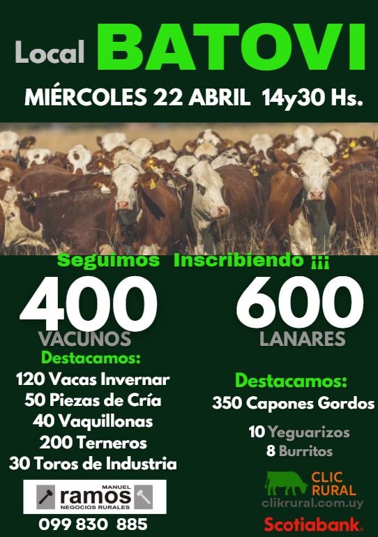 Afiche Feria Mensual - Manuel Ramos