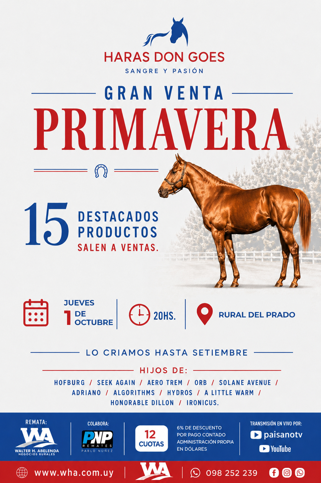 Haras Don Goes