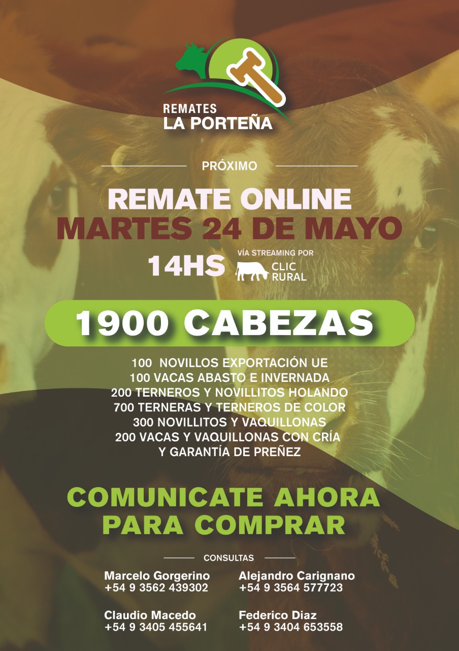 Afiche Remate Online