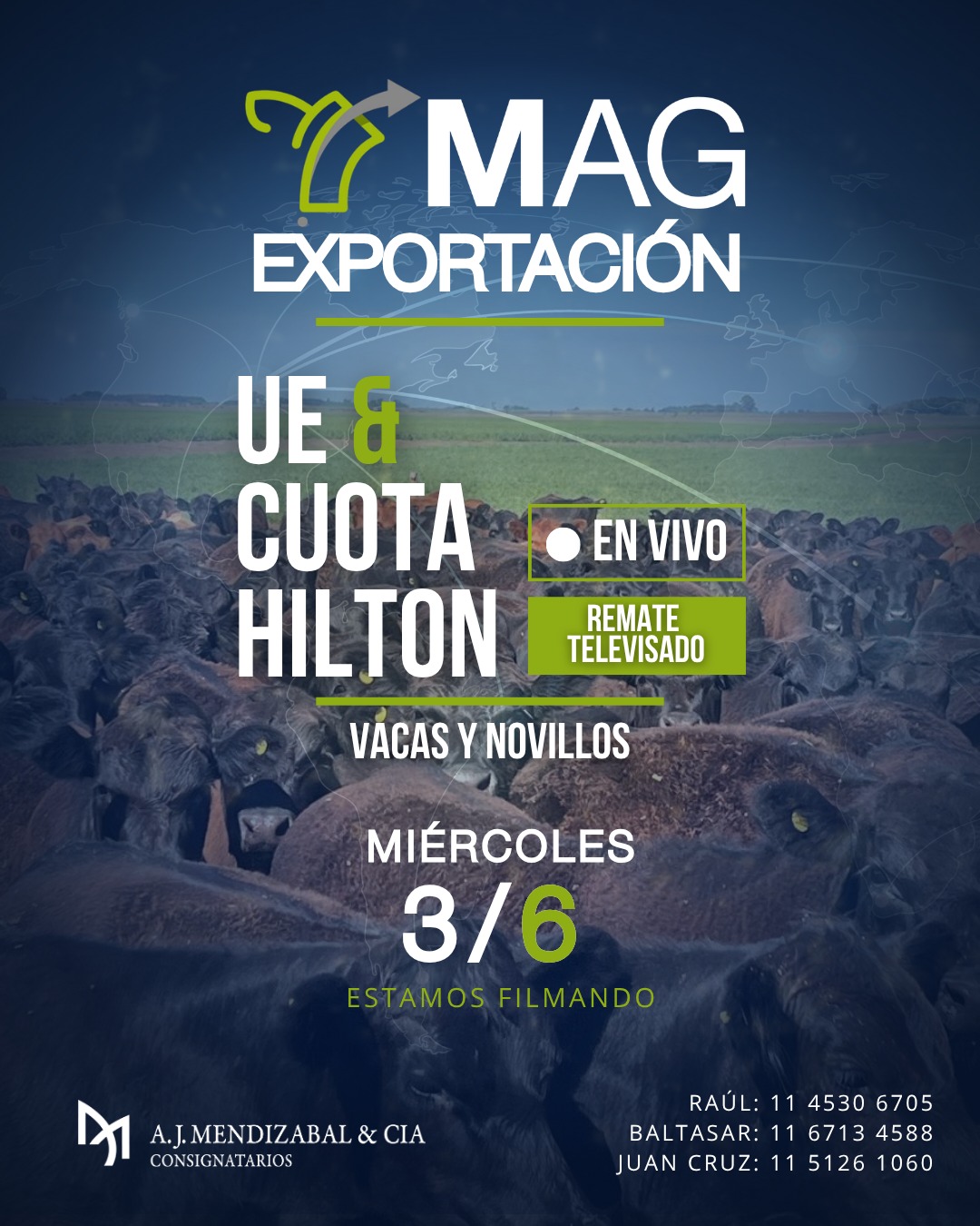 MAG exportación