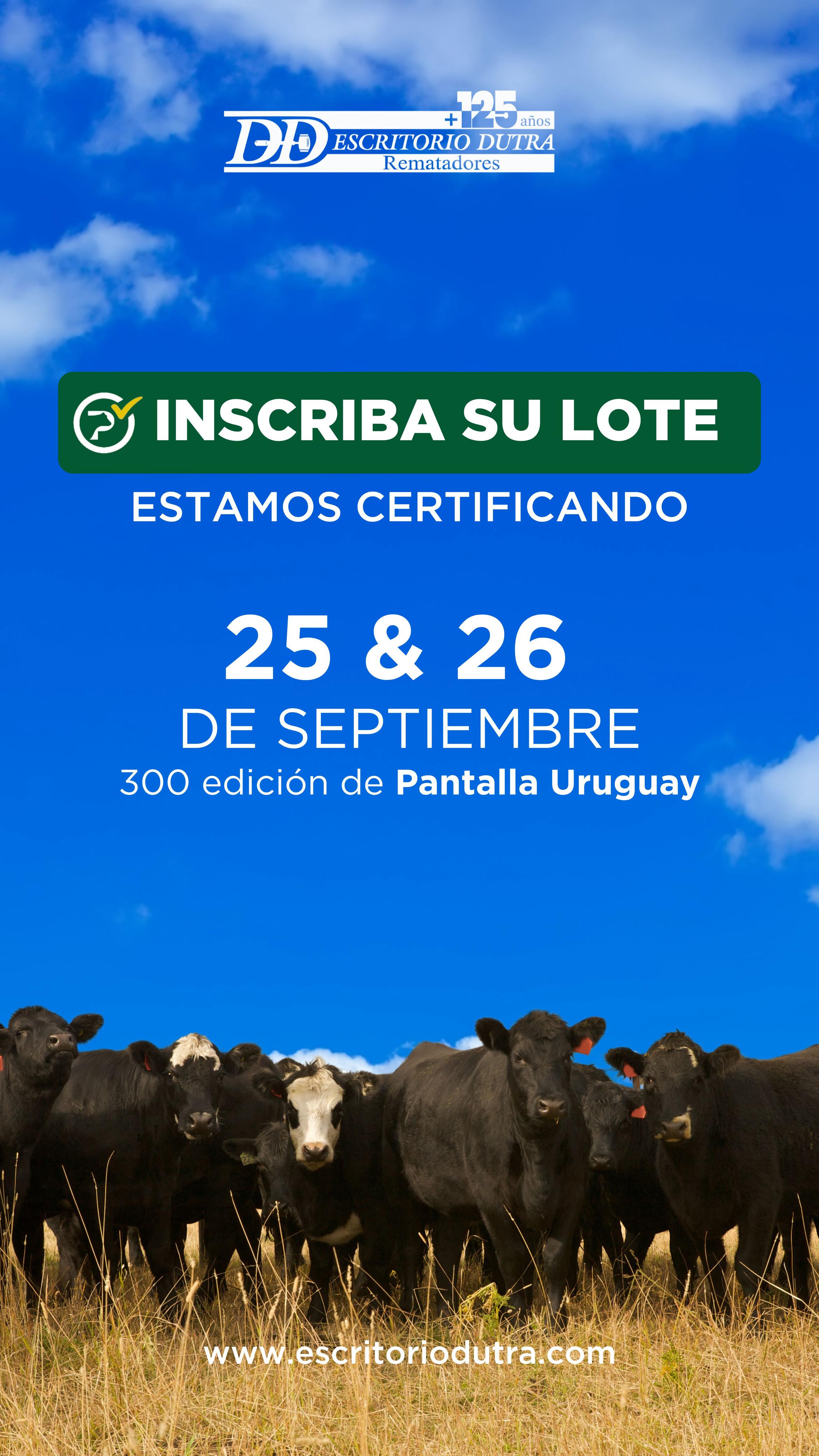 300º remate Pantalla Uruguay