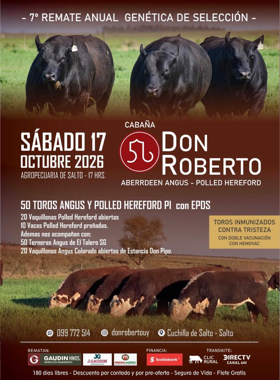 Remate 7° Don Roberto