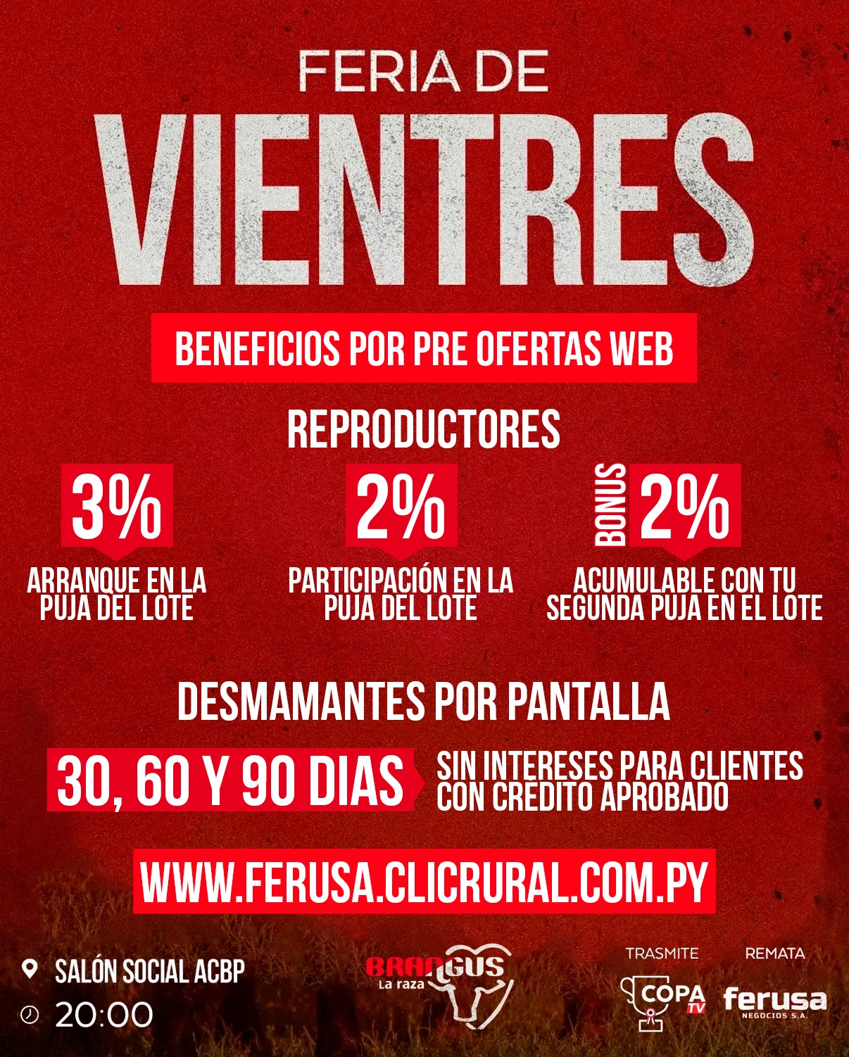 Remate Nacional Brangus Vientres