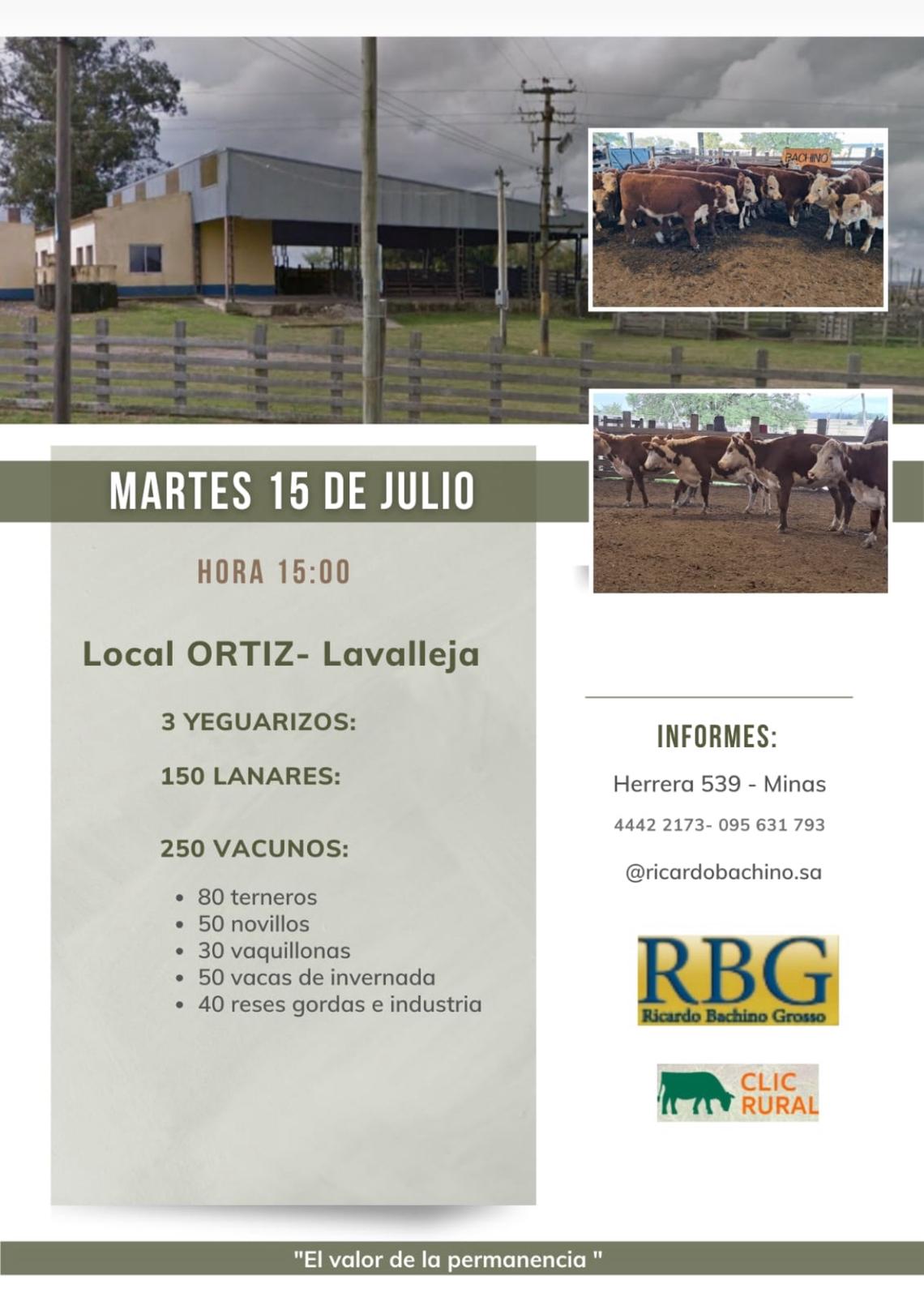 Afiche Feria mensual - Ricardo Bachino