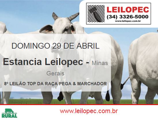 Afiche 8º LEILÃO TOP DA RAÇA PEGA & MARCHADOR