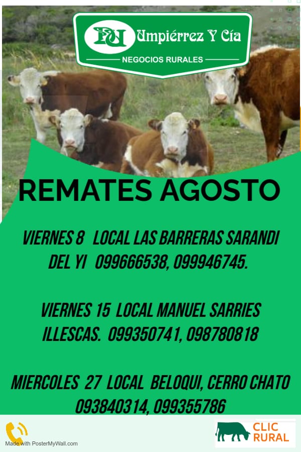 Remate Feria Mensual - Local Beloqui