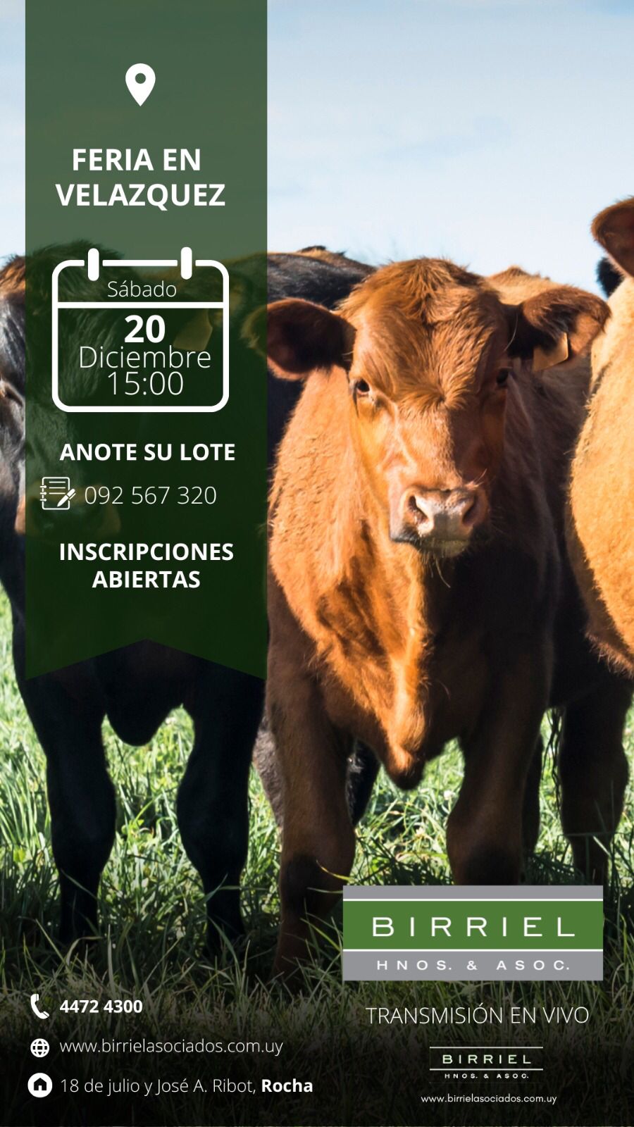 Remate Feria en Velázquez 