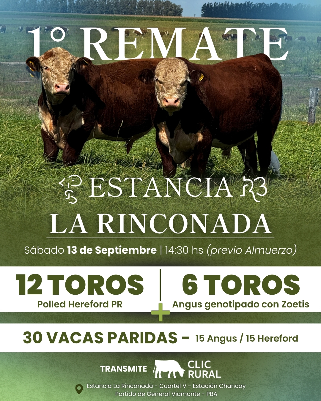 Remate 1° Remate Estancia la Rinconada