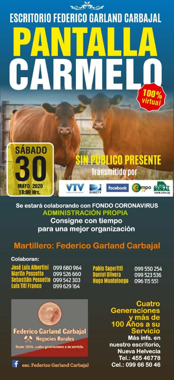 Afiche