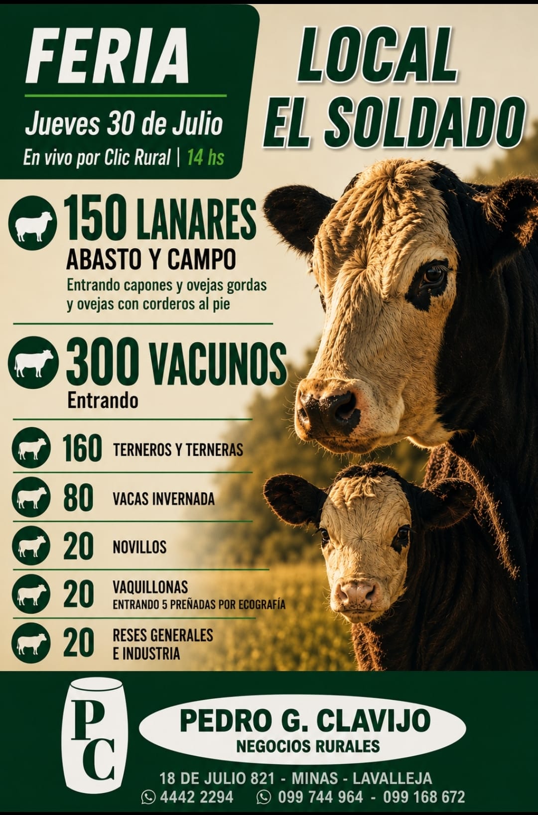 Feria mensual - El Solado