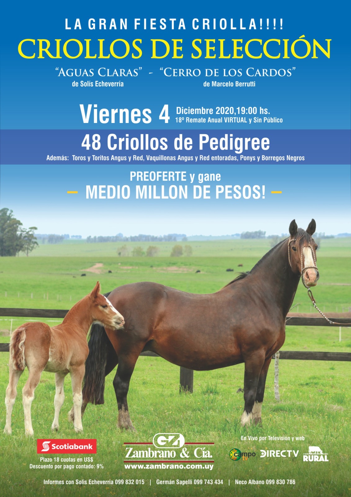 Afiche CRIOLLOS DE SELECCIÓN