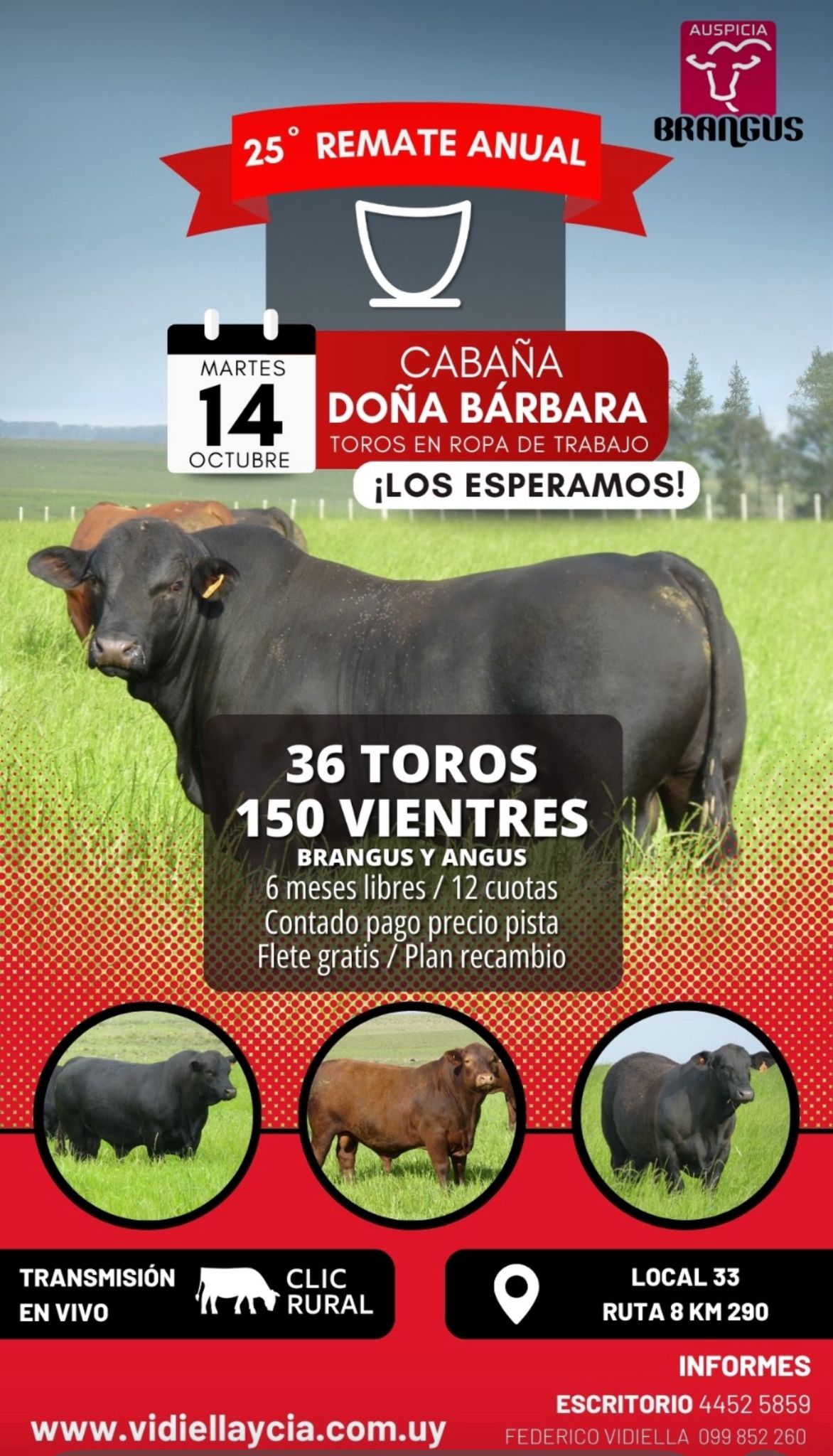 25º Remate Anual - Cabaña Doña Barbara