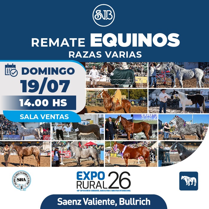 Equinos - Razas varias