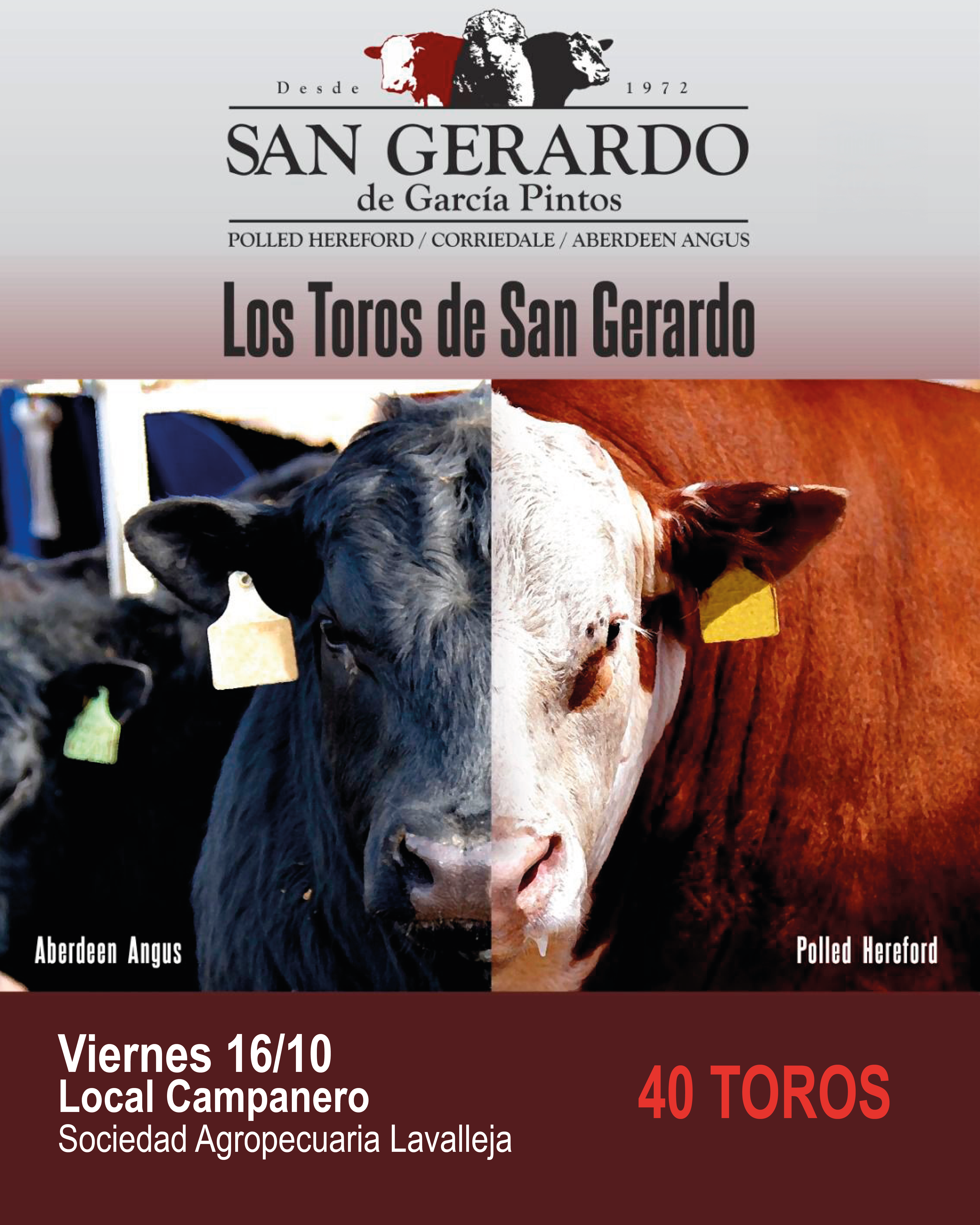 Afiche San Gerardo de Garcia Pintos