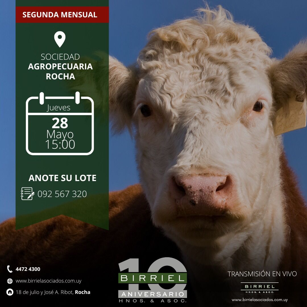Remate 28 de Mayo - Sociedad Agropecuaria de Rocha