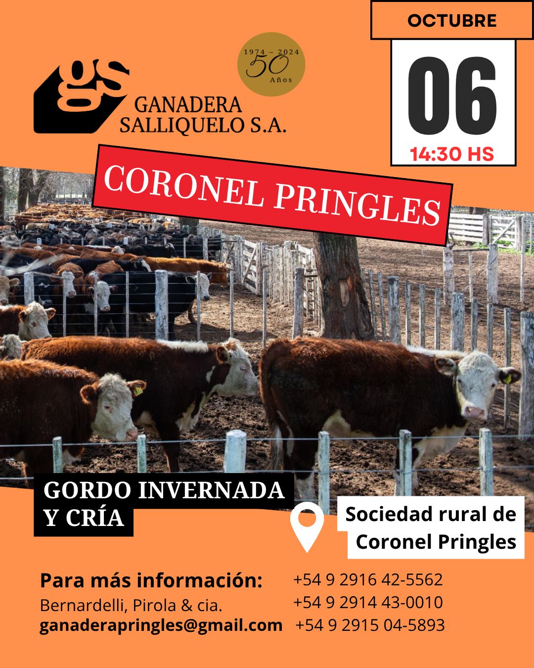 Afiche REMATE EN CORONEL PRINGLES