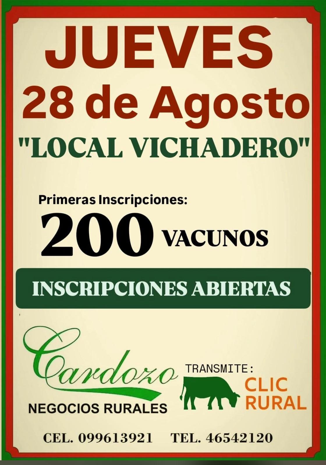 Remate Feria Mensual - Cardozo Negocios Rurales