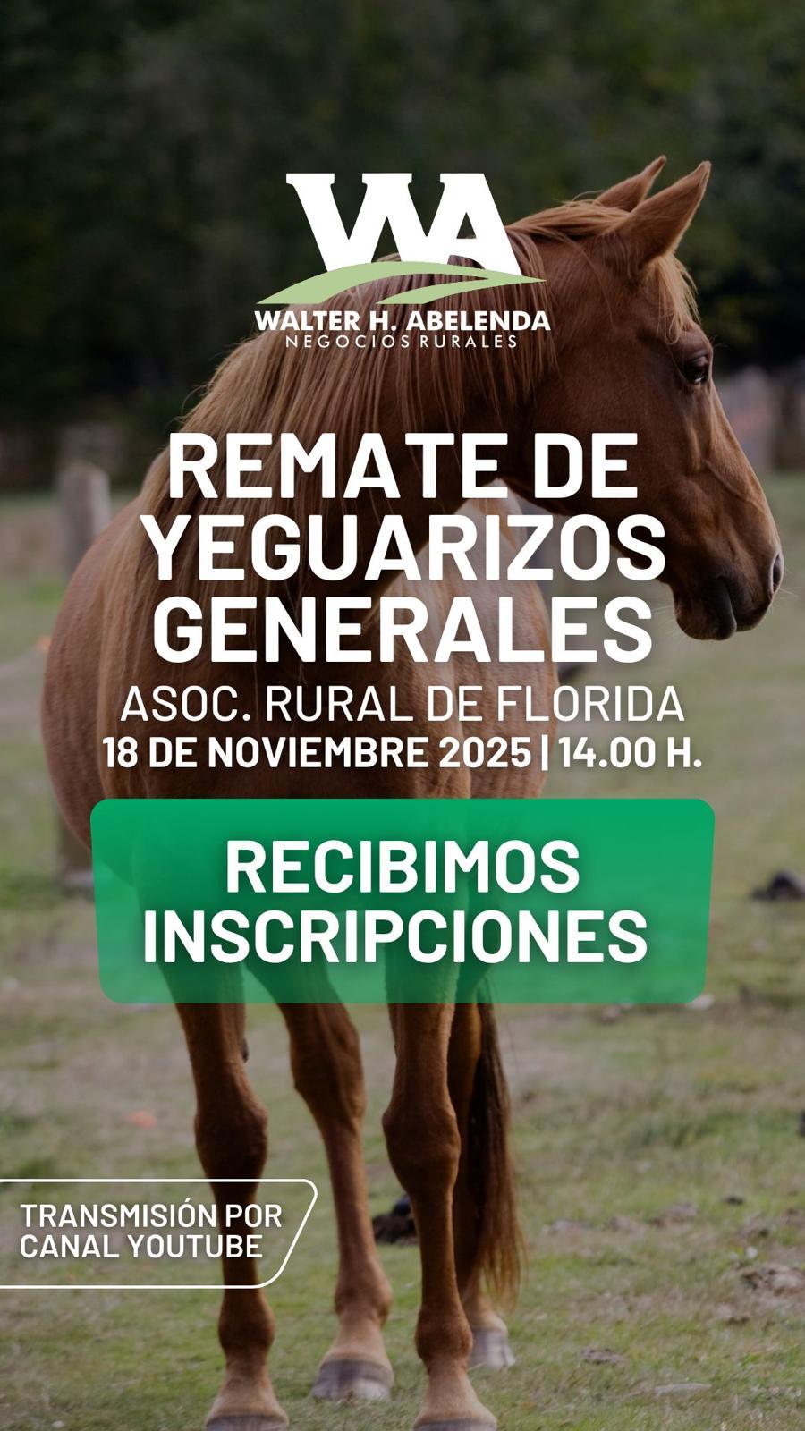 Remate de Yeguarizos Generales