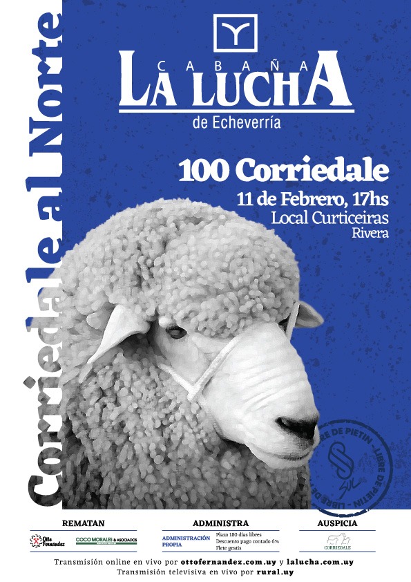 Afiche Corriedale al Norte