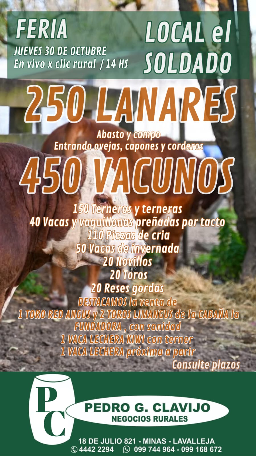 Remate Feria mensual - Pedro G Clavijo