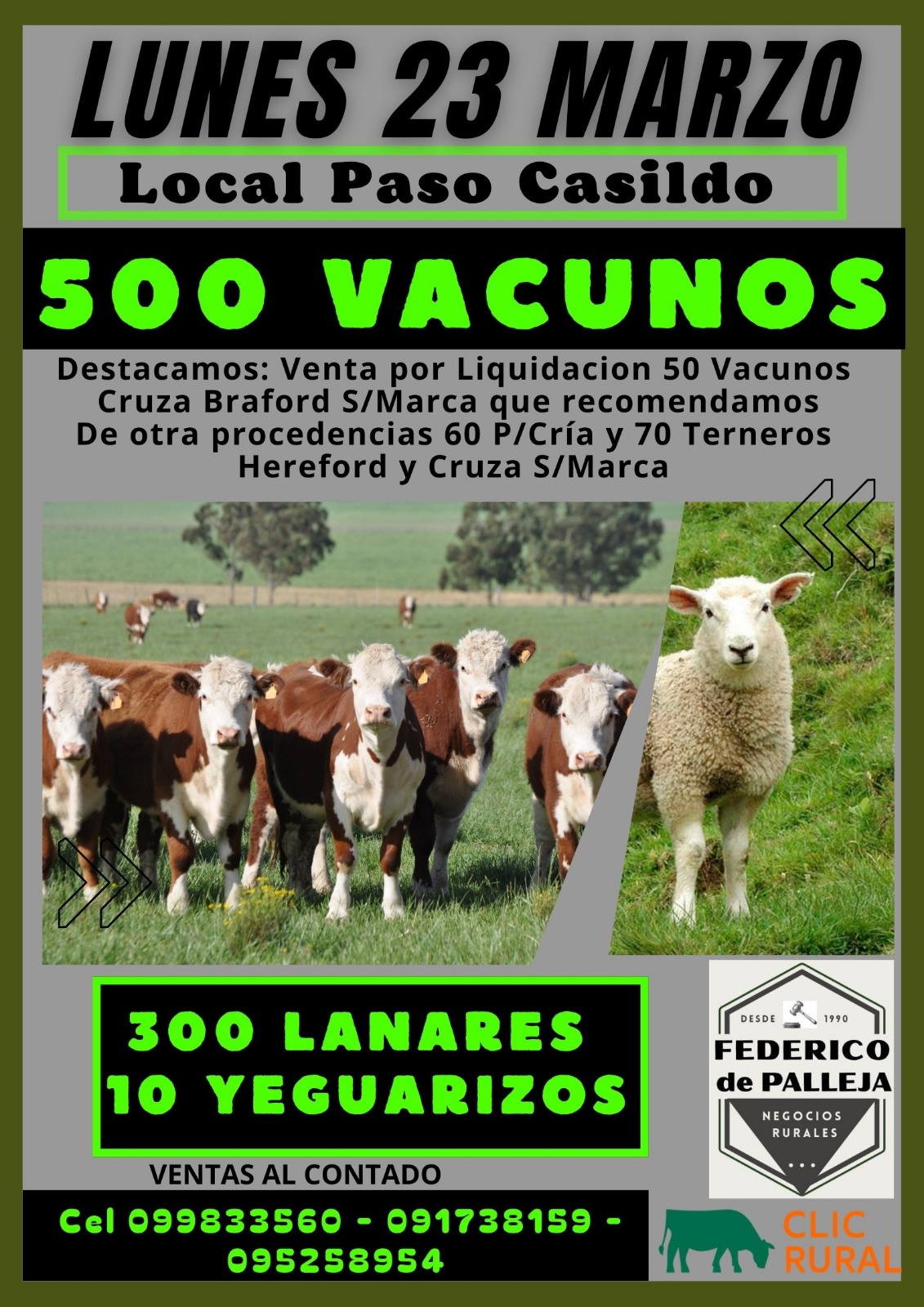 Remate Feria Mensual - Federico de Palleja