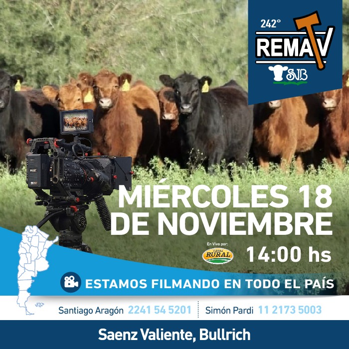 Afiche 242 REMATV