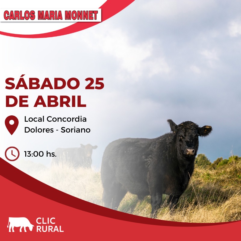 Remate Feria Mensual - Local Concordia